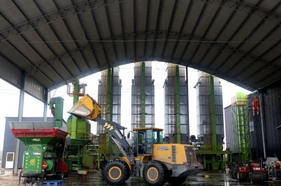 10月10日，在滨州市滨城区杨柳雪镇一处粮食烘干服务点，工作人员驾驶机械将玉米送入粮食烘干设备进行烘干。（通讯员 初宝瑞 报道）