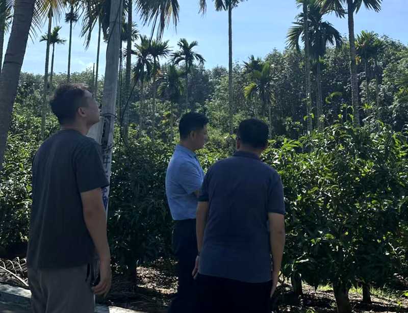 微信图片_2025-11-06_193322_479